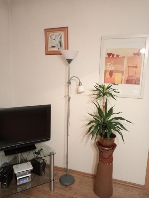 Apartament Stroma 4 زاكوباني المظهر الخارجي الصورة